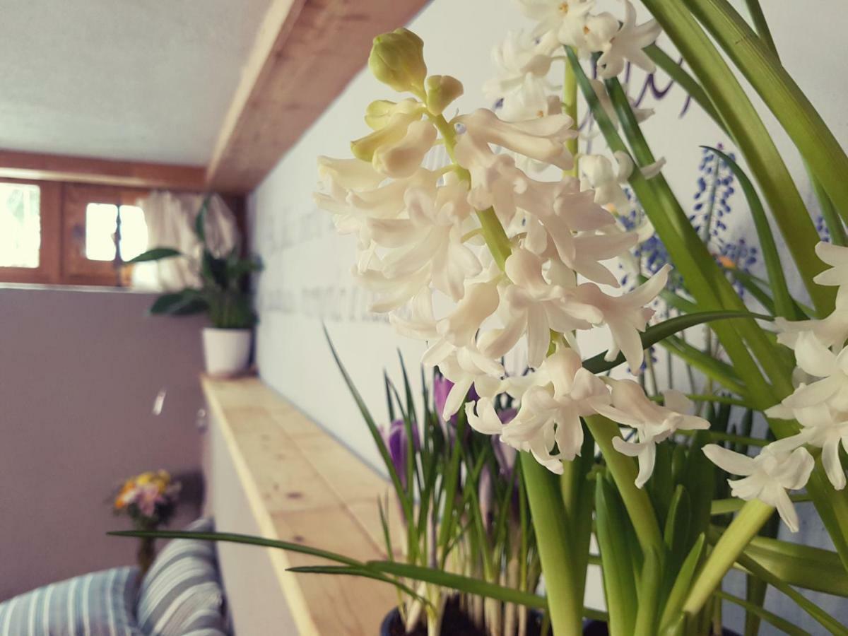 Bed and Breakfast Grange Epiney Bed E Breakfast Ла-Саль Екстер'єр фото