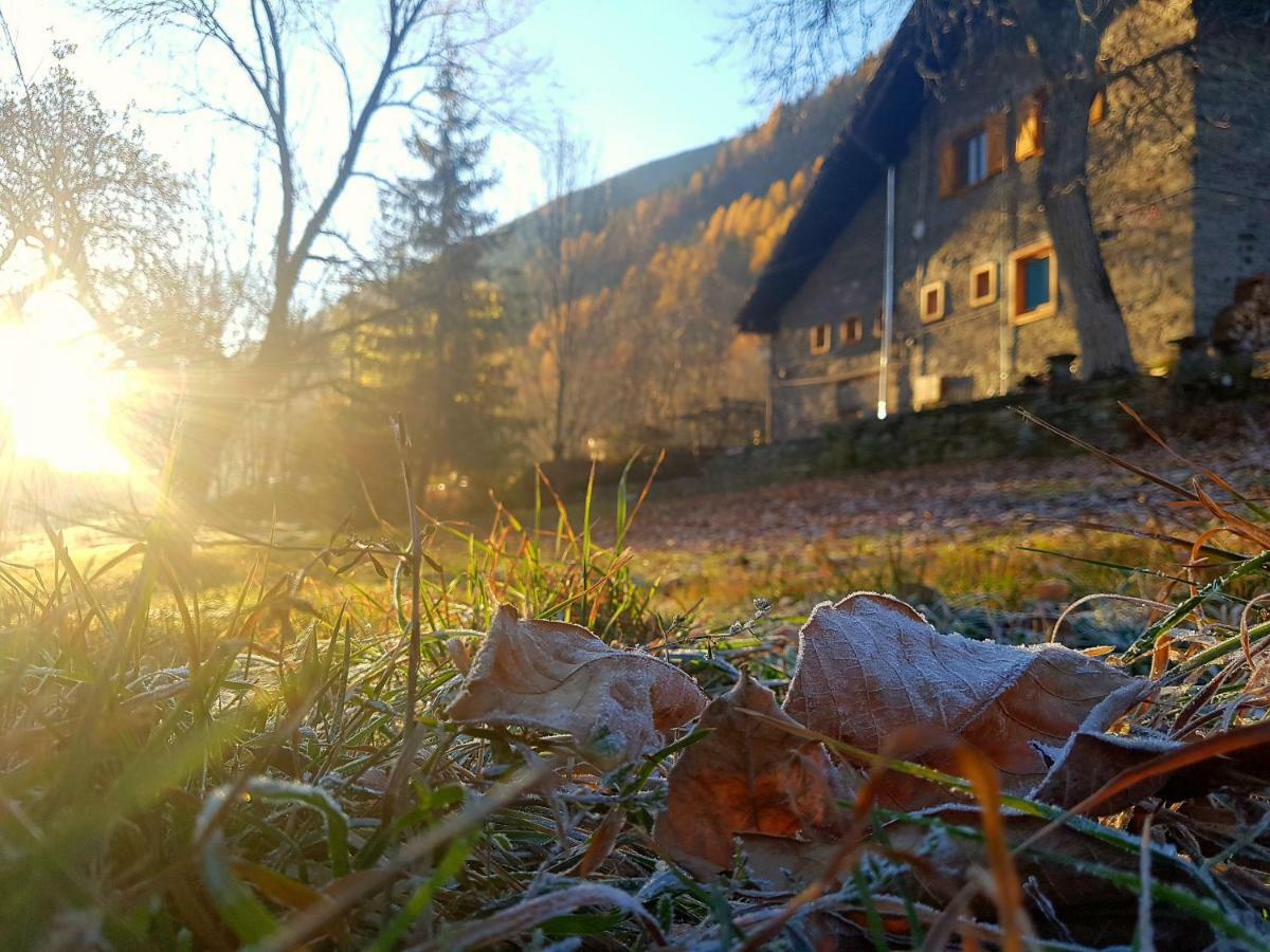 Bed and Breakfast Grange Epiney Bed E Breakfast Ла-Саль Екстер'єр фото
